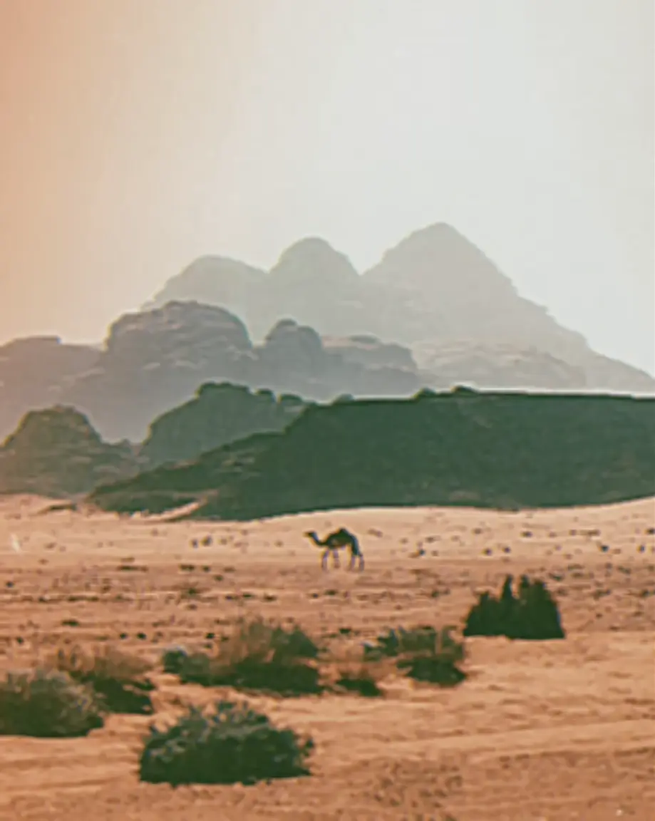Oman
